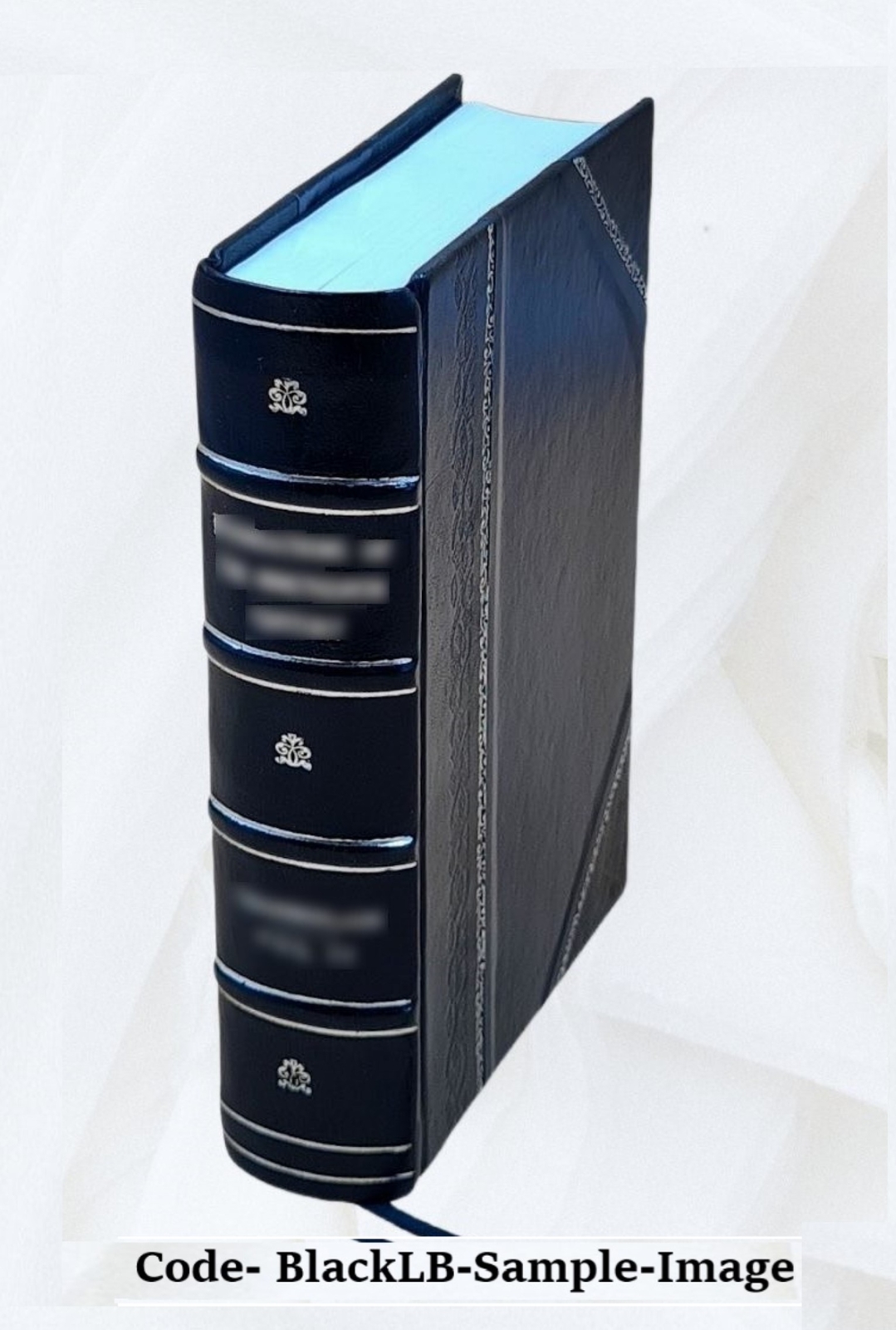 Enigmas Of Life. With A Prefatory Memoir 1891 [Leather Bound]