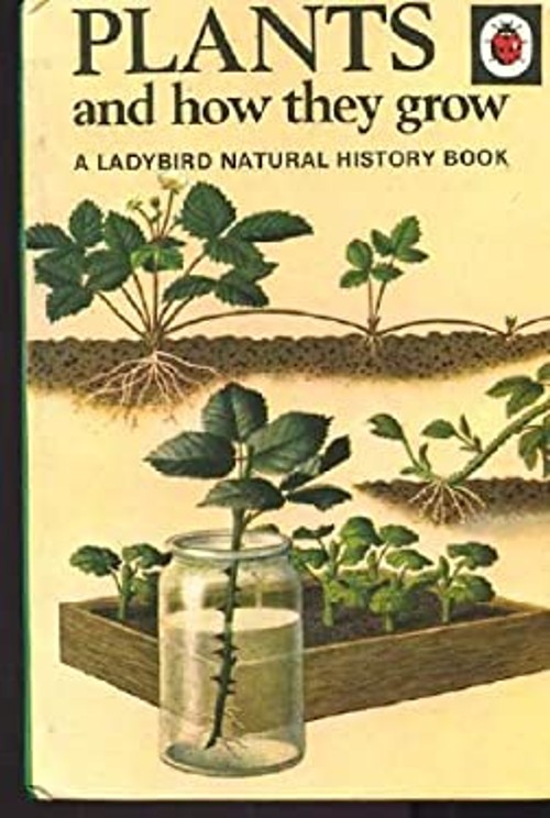 Plants and How They Grow Paperback Richard, Newing, F.E. Bowood