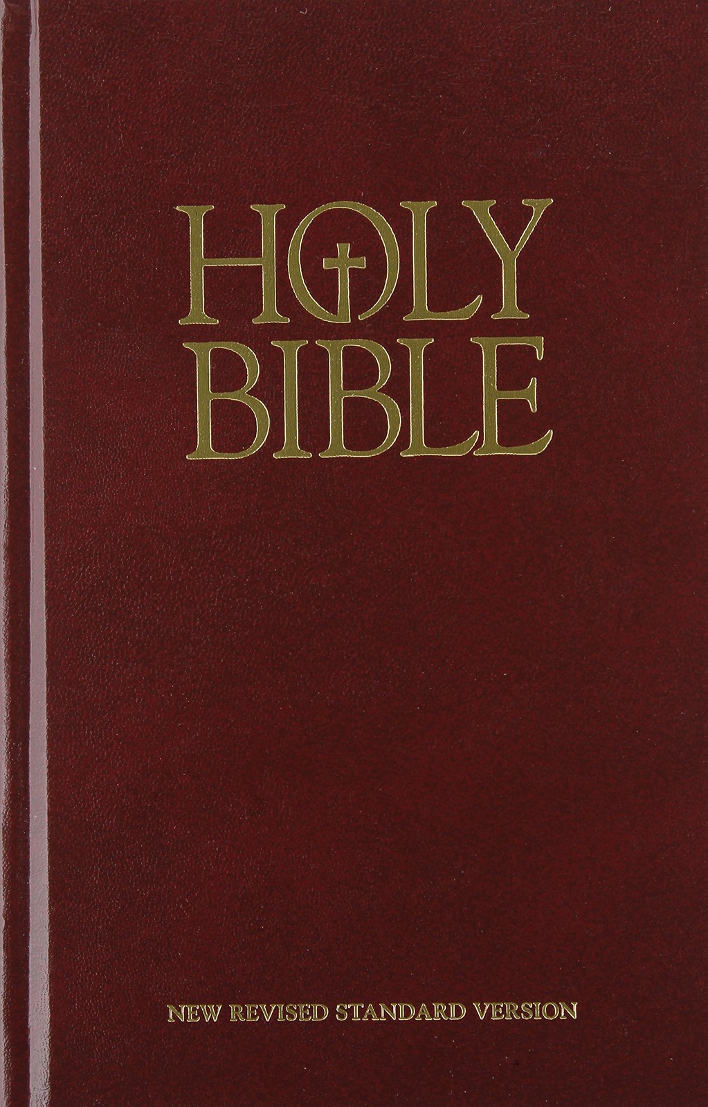 Holy Bible-NRSV