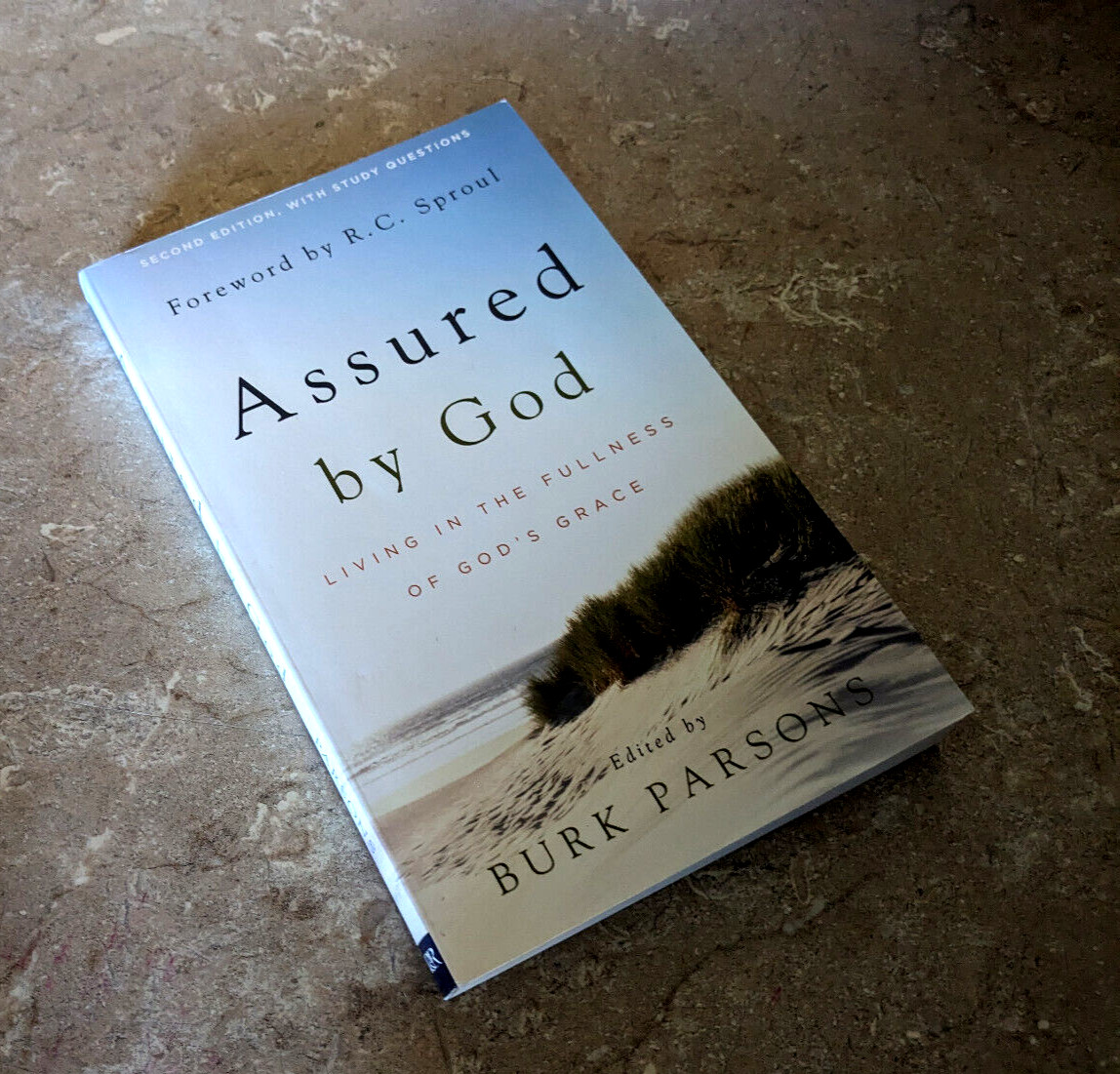 Assured by God : Living in the Fullness of God’s Grace by Burk Parsons FREE SHIP