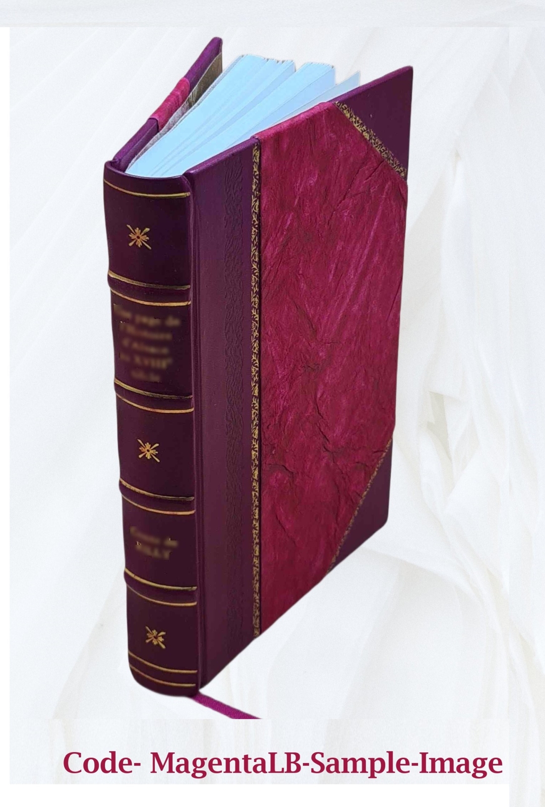 Enigmas Of Life. With A Prefatory Memoir 1891 [Leather Bound]