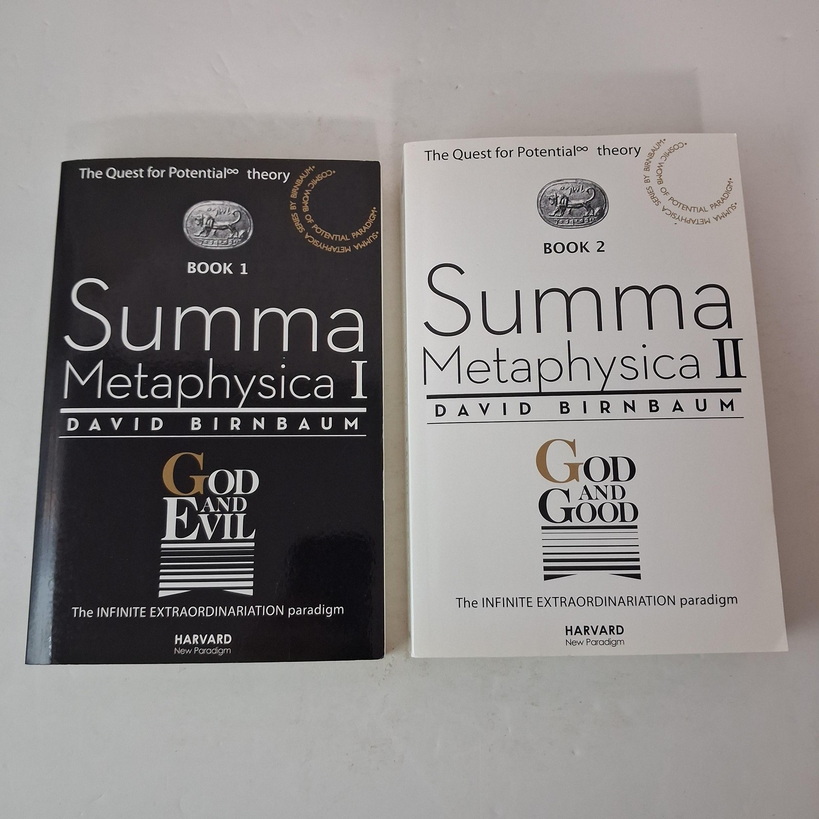 Summa Metaphysica I & II By David Birnbaum PB Lot God & Evil Good Theodicy