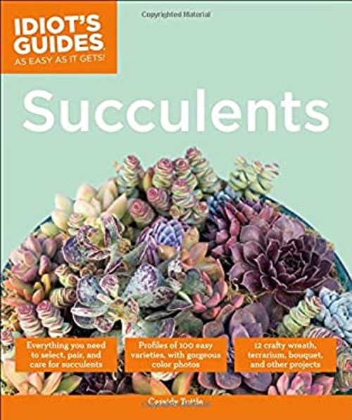 Succulents Paperback Cassidy Tuttle