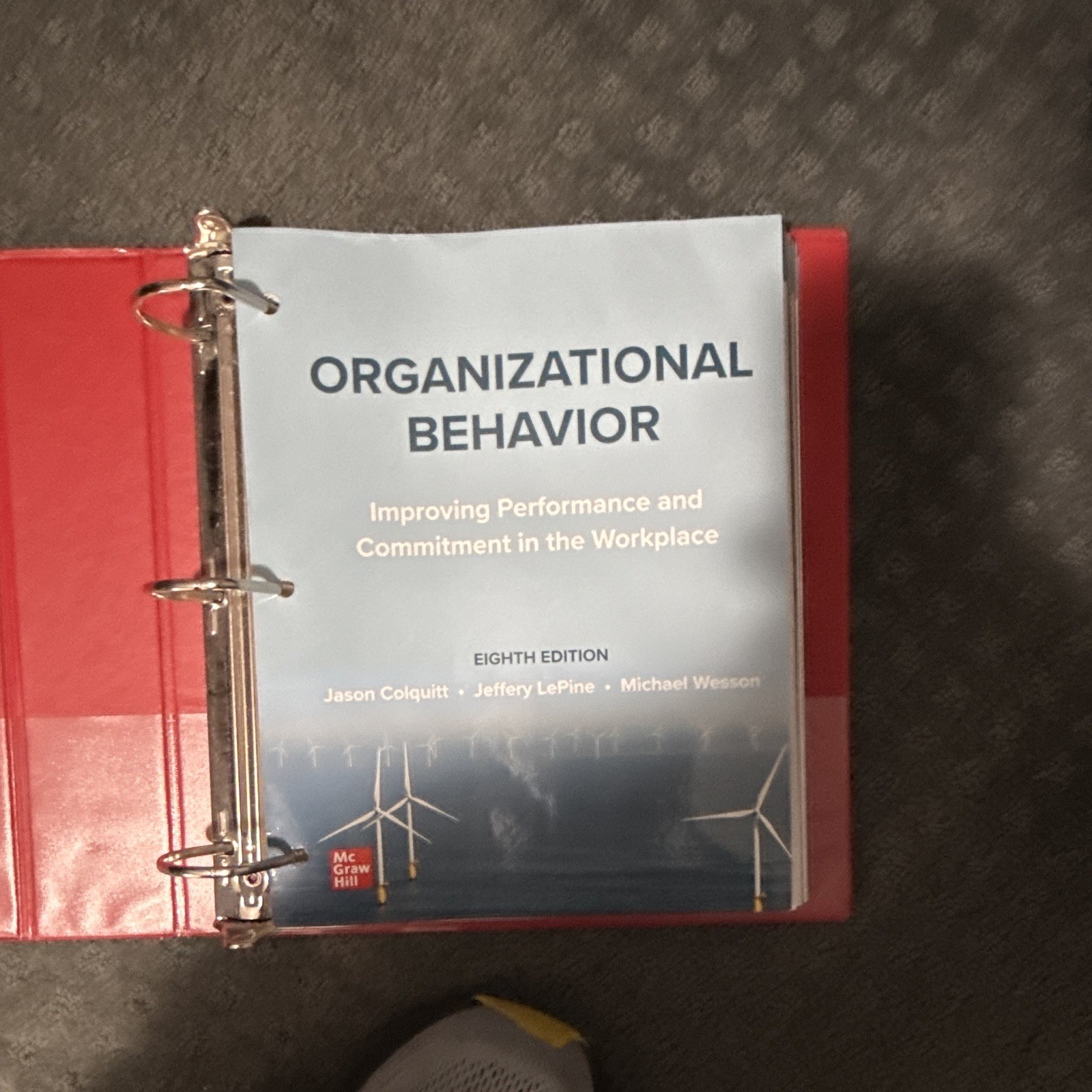 McGraw Hill Organizational Behavior 8th Ed Ringbound Colquitt LePine Wesson