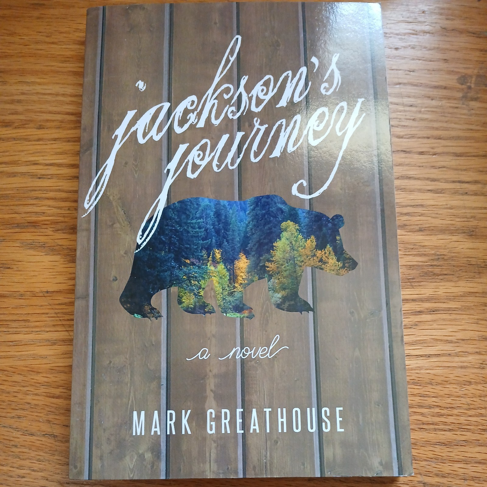 Jackson’s Journey by Marl Greathouse and Mark Greathouse (2015, Trade Paperback)