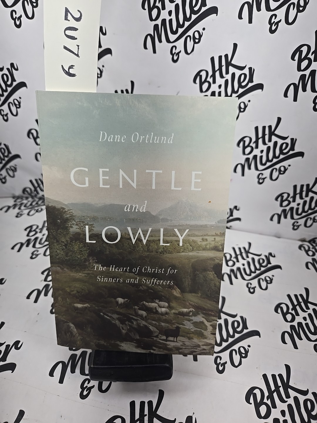 Gentle and Lowly Study Guide Dane Ortlund 2021 Trade Paperback