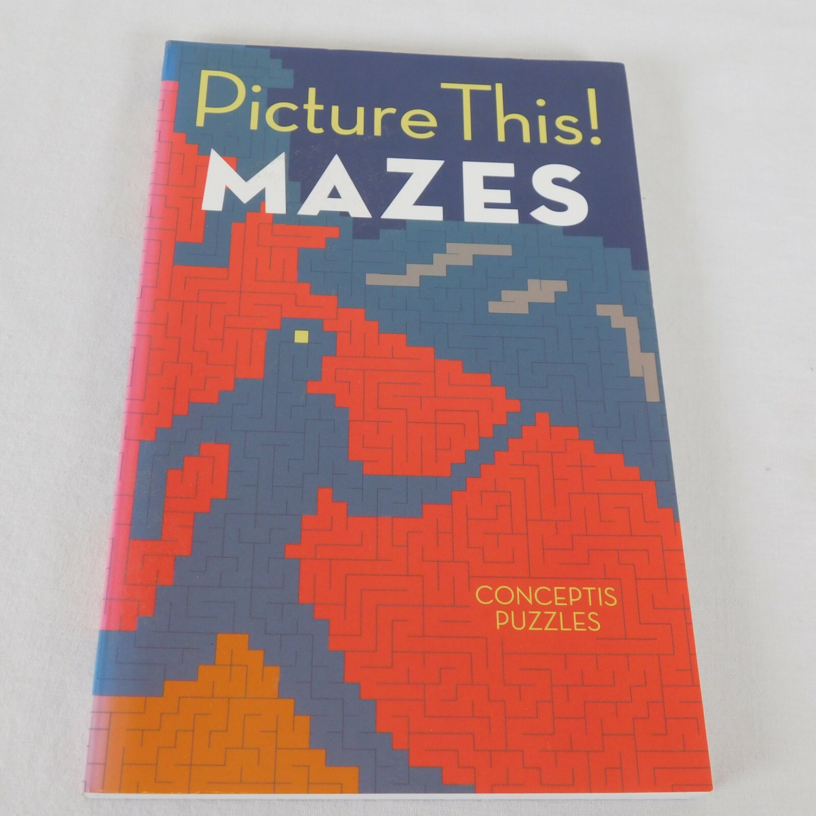 Picture This! Mazes Conceptis Puzzles 2005 Completed Mazes Create a Picture Kids