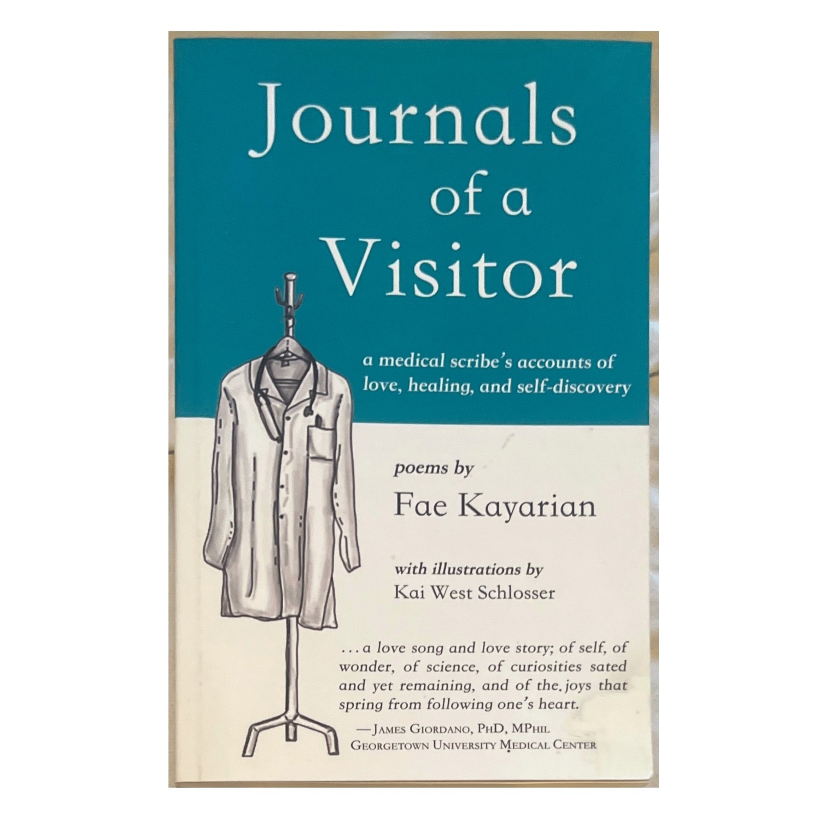Only1eBay🧥Journals of a Visitor🔴Fae Kayarian📖2020 Trade Paperback VG,FreeShip