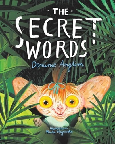 The Secret Words by Dominic Anglim: New