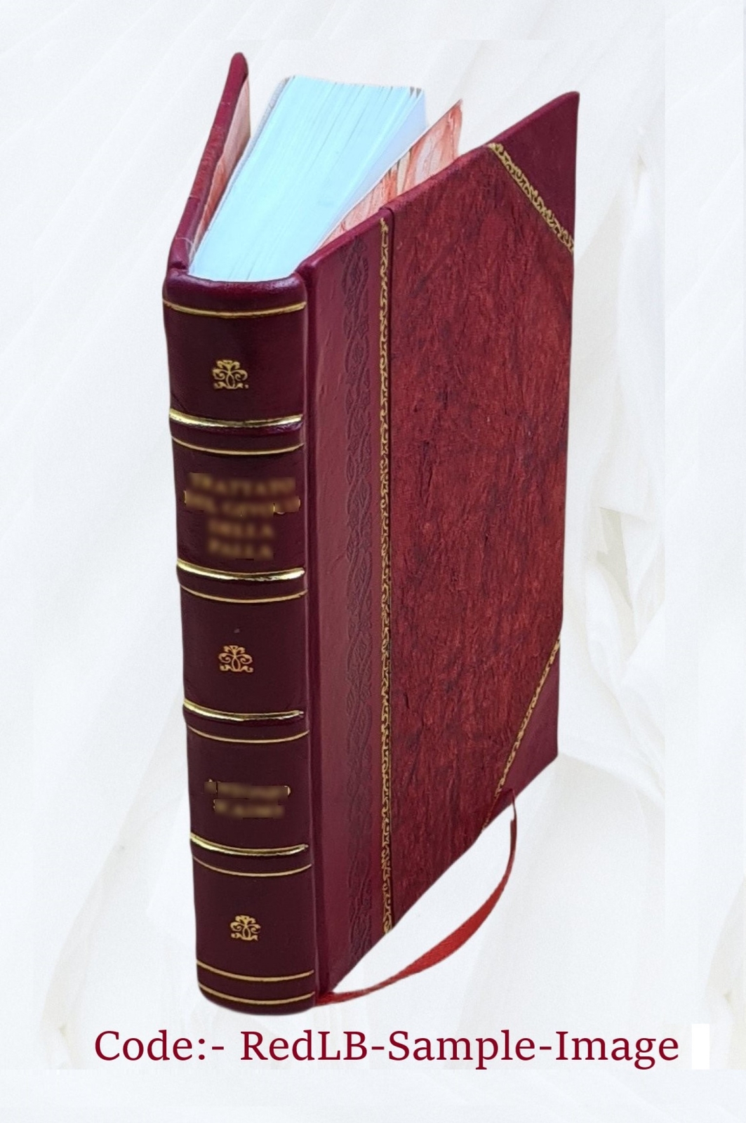 Enigmas Of Life. With A Prefatory Memoir 1891 [Leather Bound]