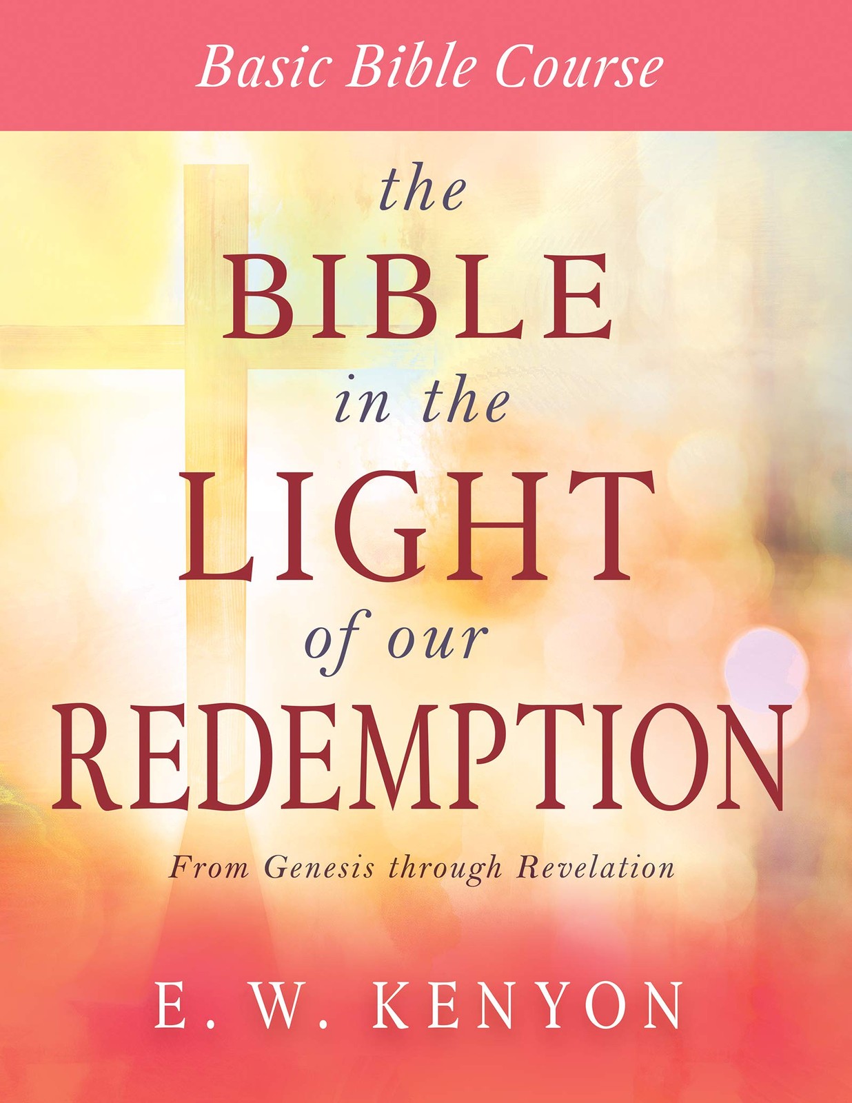 The Bible in the Light of Our Redemption: Basic Course