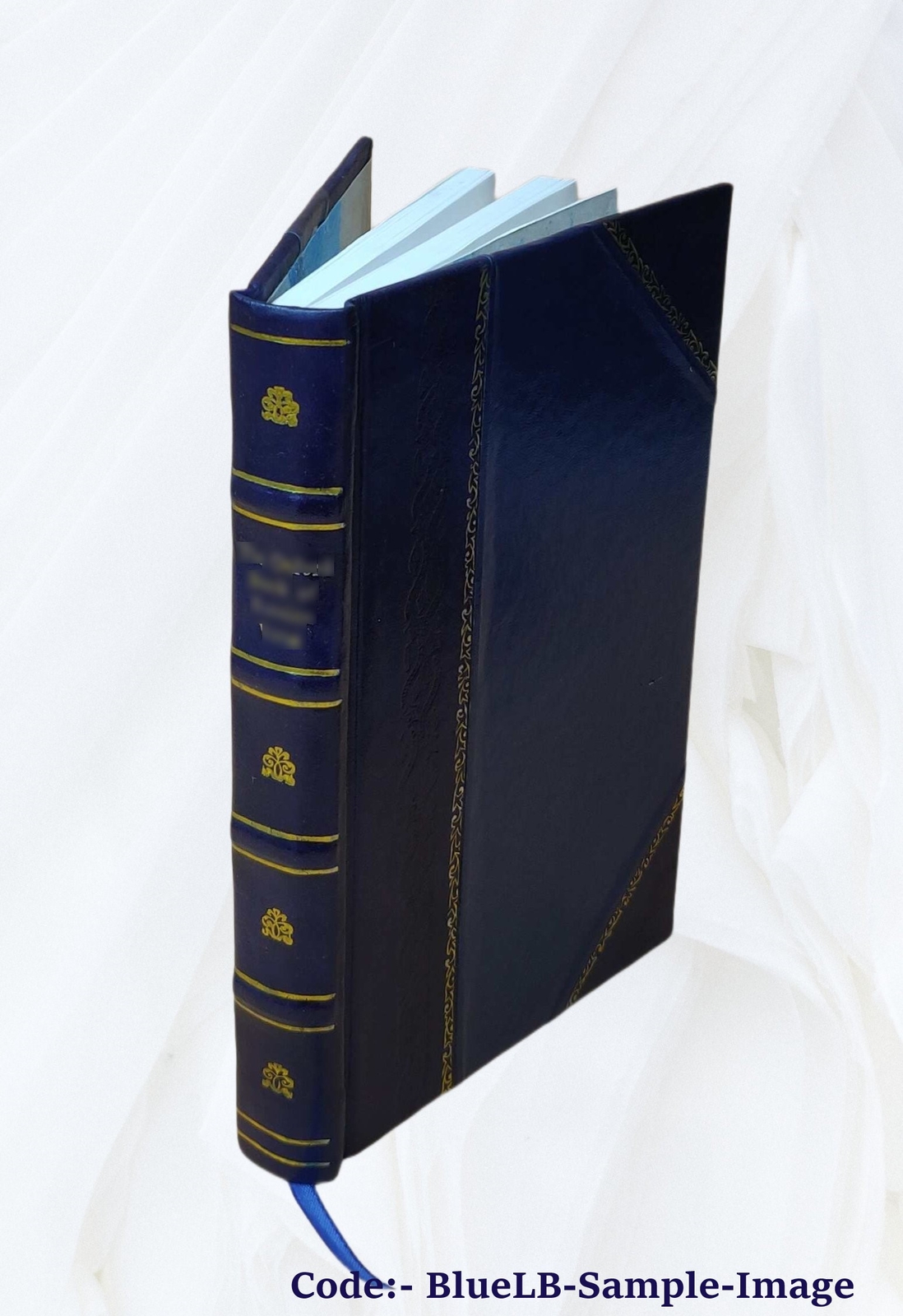 Enigmas Of Life. With A Prefatory Memoir 1891 [Leather Bound]