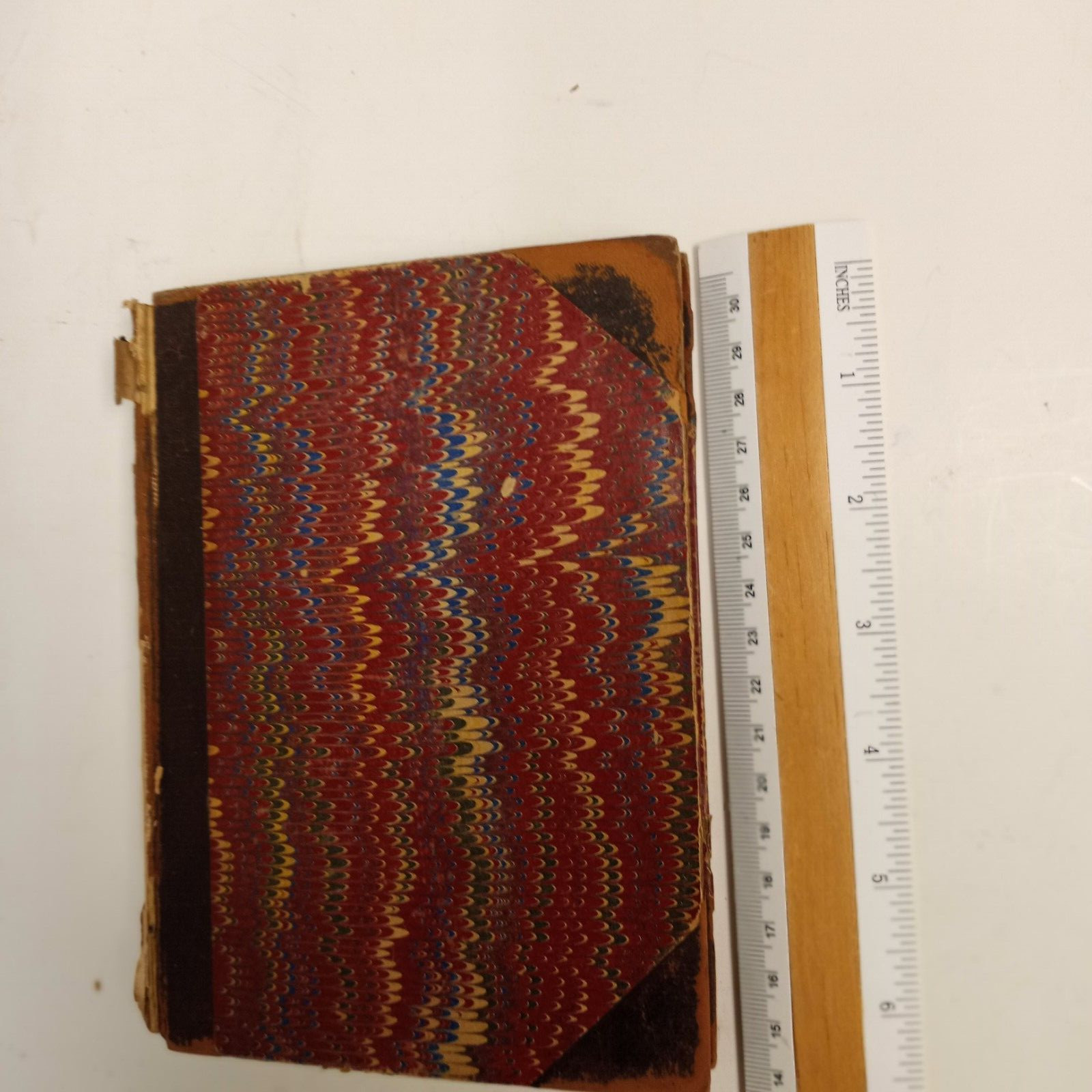 Reminiscences Thomas Caryle 1881 edited James Froude Antique