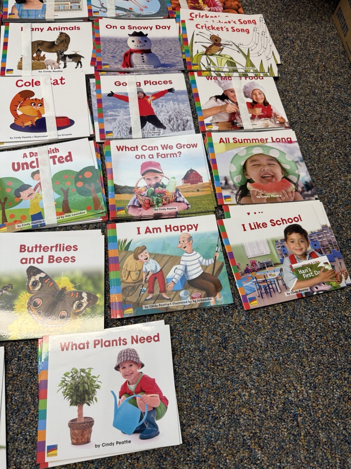 * Lot Of 39 Decodable Books – Ready To Advance,Benchmark Education