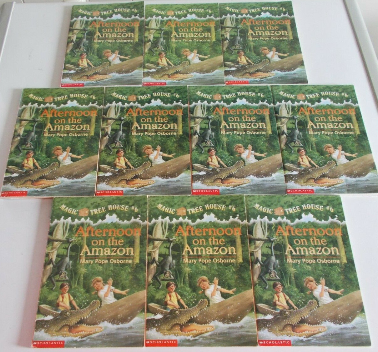 Lot of 10 Magic Tree House #6 Afternoon on the Amazon Guided Reading Teacher