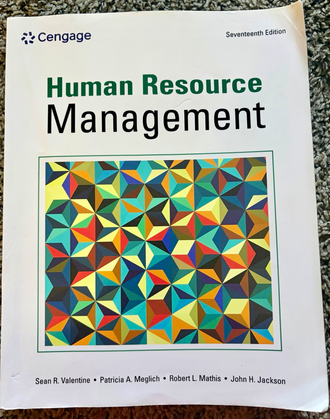 Human Resource Management 17th Edition Valentine ISBN 9780357899281