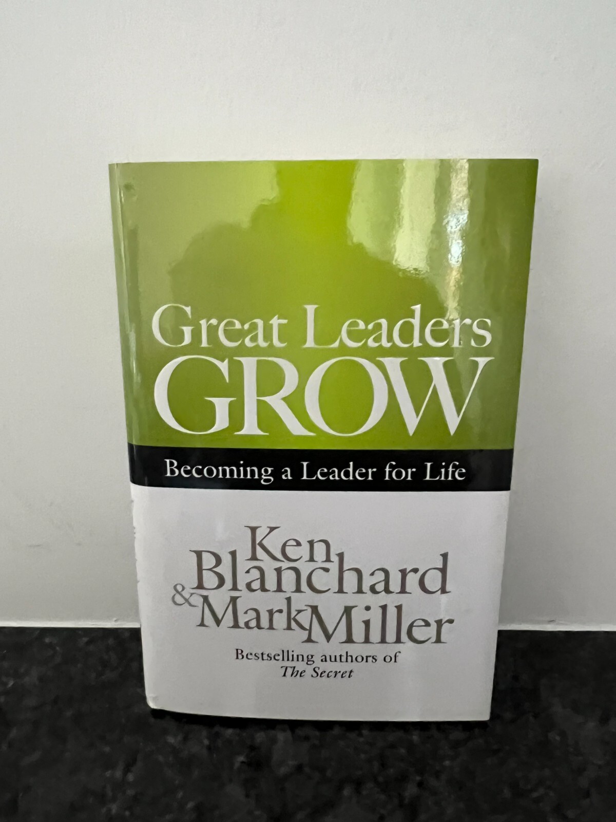 Great Leaders Grow : Becoming a Leader for Life by Mark Miller and Ken Blanchard