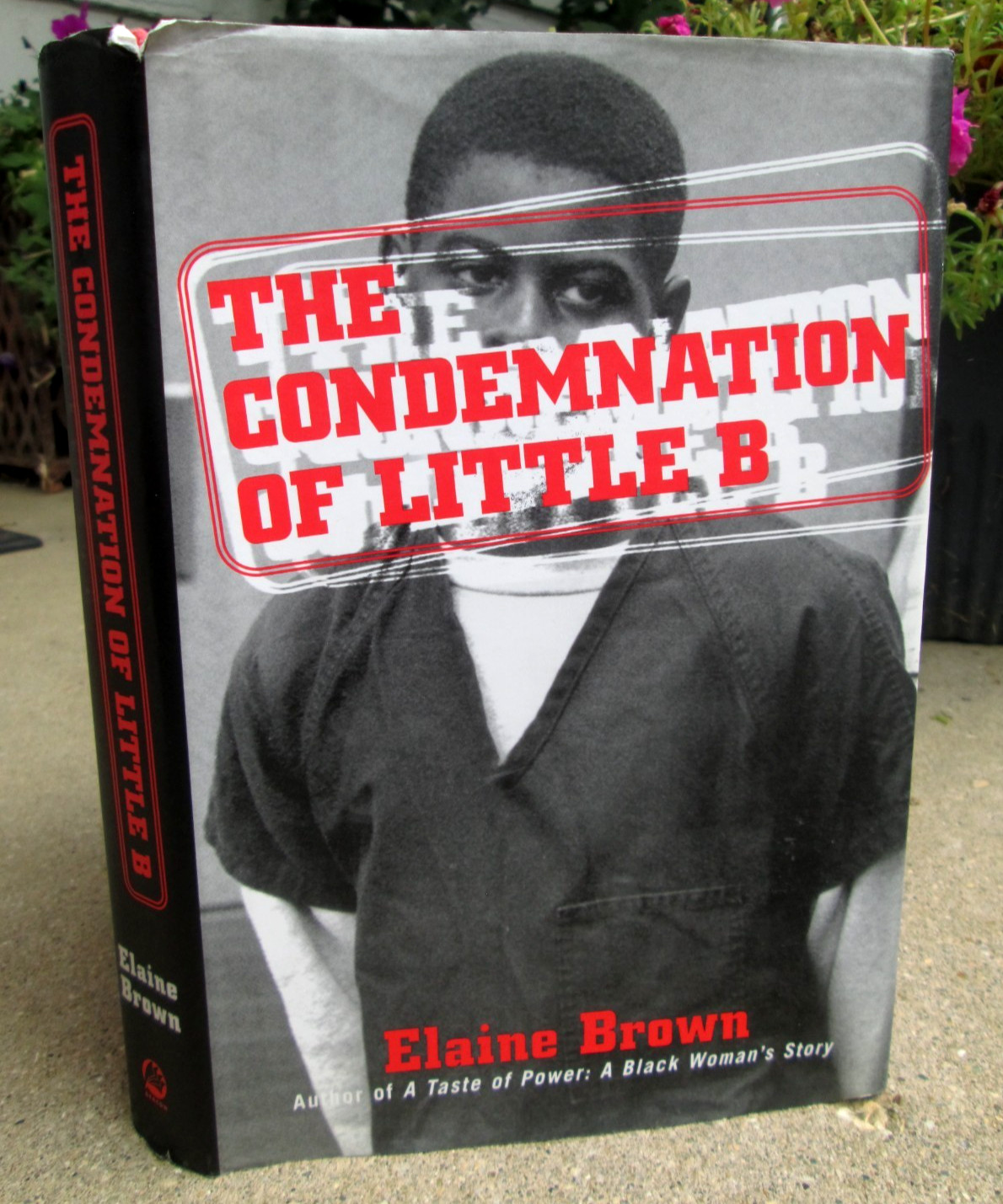 Condemnation of Little B. by Elaine Brown Beacon Press 2002 HCDJ