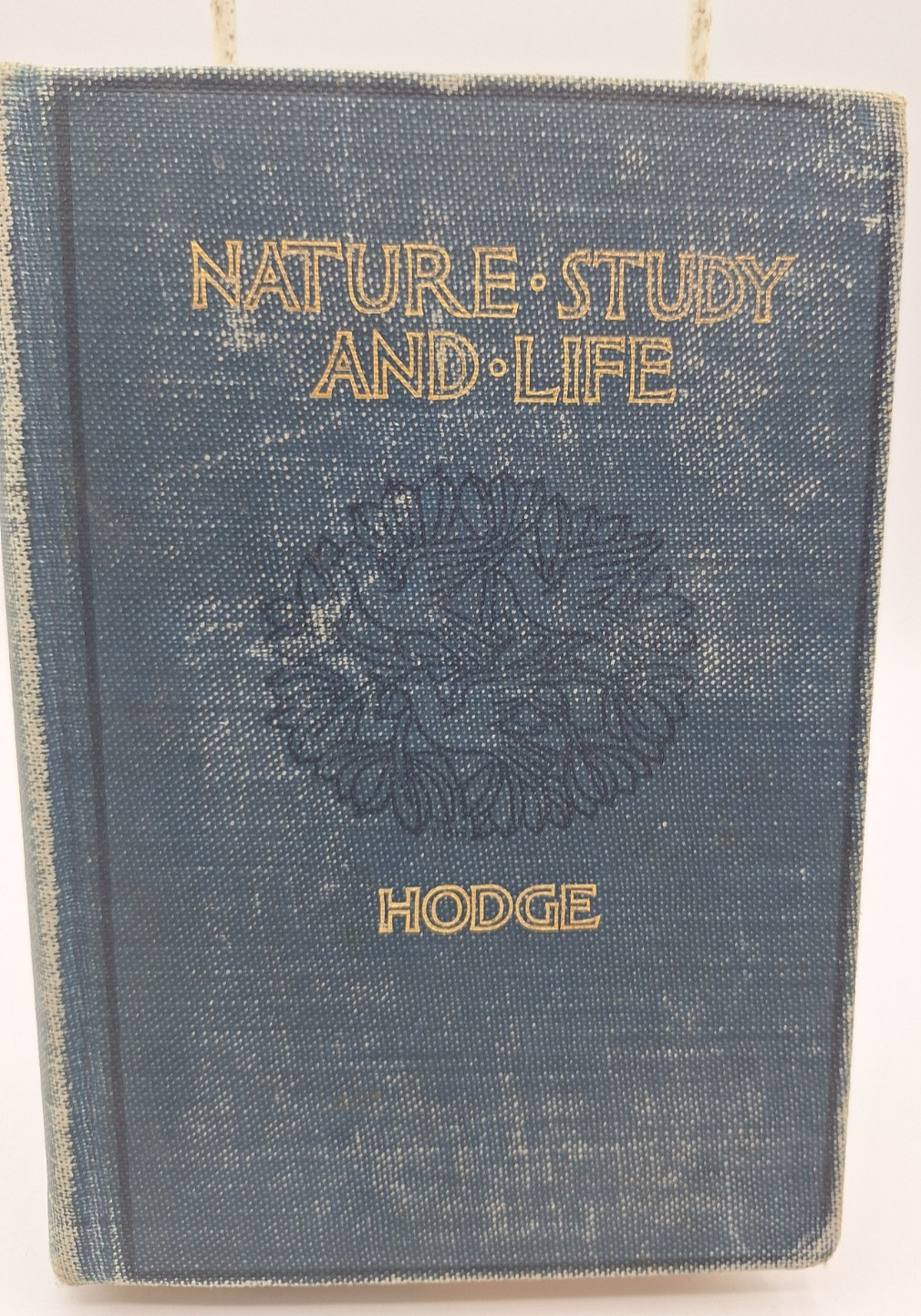 FIRST EDITION Nature Study and Life by Clifton F. Hodge (1902, Hardback) Teacher