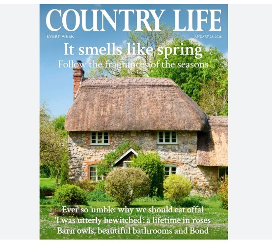 Country Life UK Magazine Issue January 28, 2026/ IT SMELLS LIKE SPRING