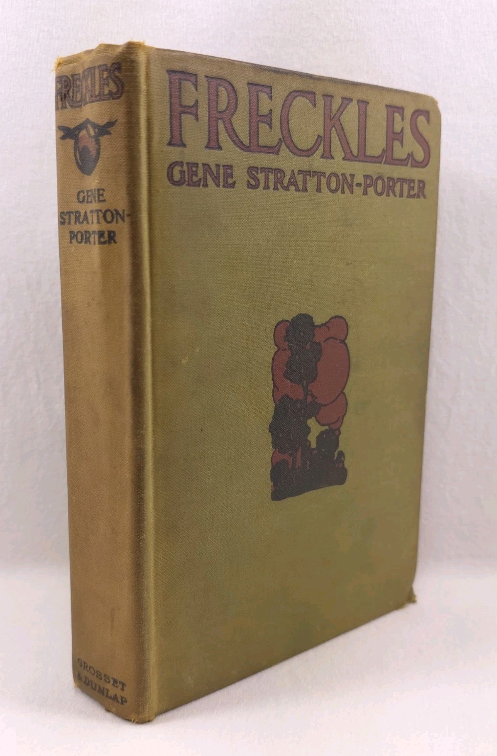Freckles Gene Stratton-Porter 1904