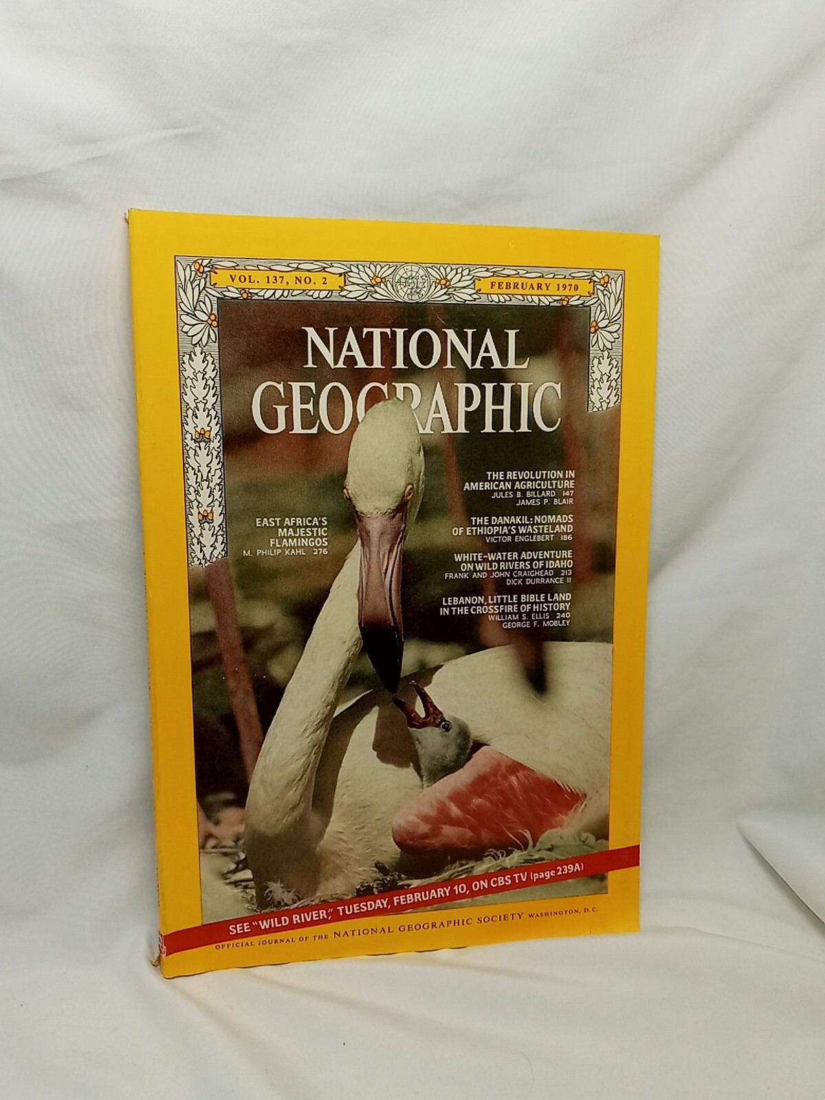 National Geographic Feb 1970 African Flamingos, The Danakil, Ihaho White Rapids