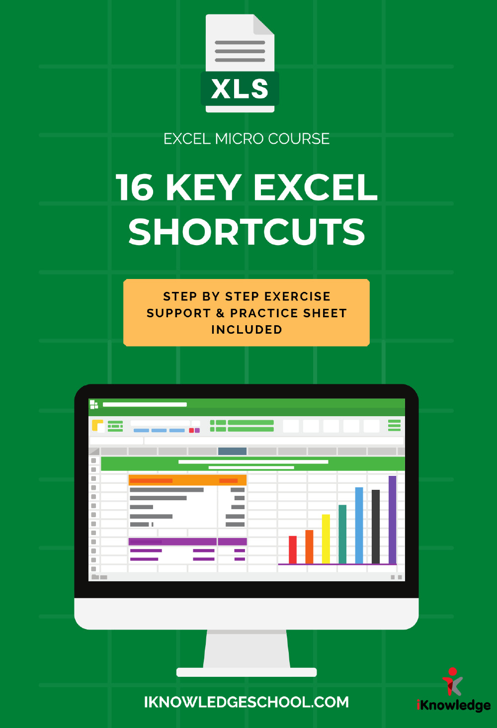 🎓 Microsoft Excel Micro Course – Master 16 Essential Shortcuts (Digital)