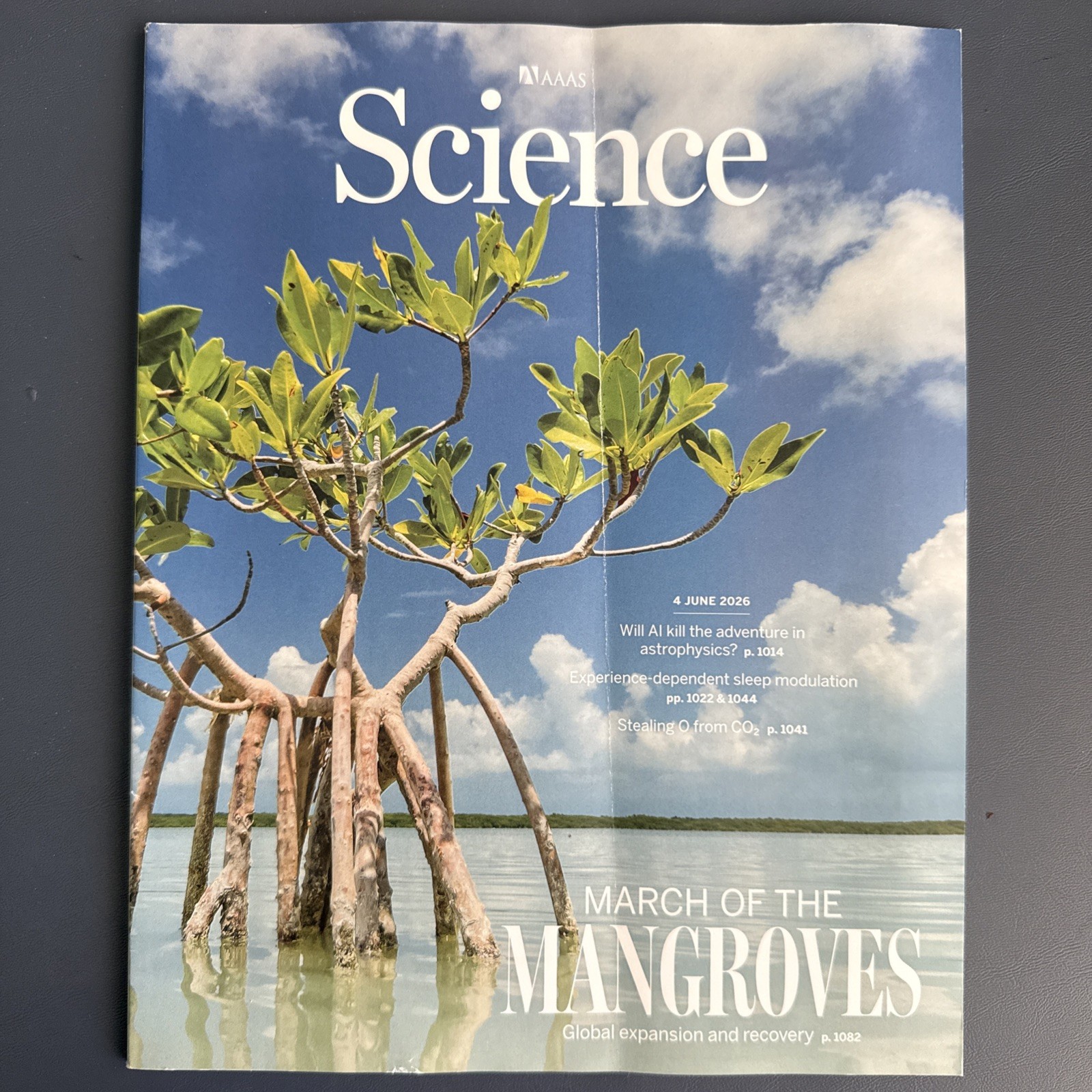 AAAS Science Magazine Vol 392 No 6802 4 June 2026 Mangrove Recovery AI CO2 Sleep